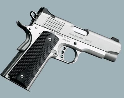 Kimber Pro Carry II Stainless